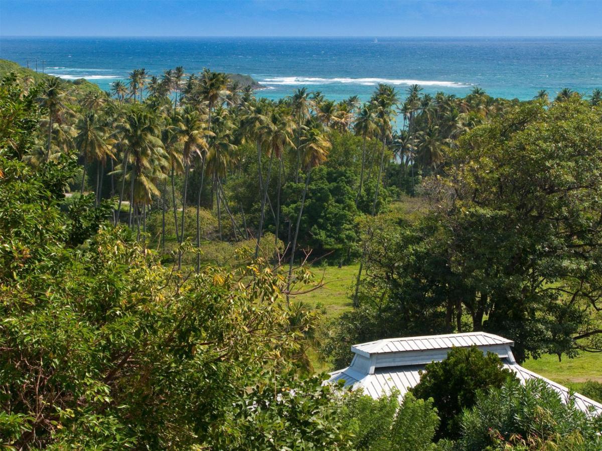 Hotel Firefly Estate Bequia Crescent Beach Zewnętrze zdjęcie