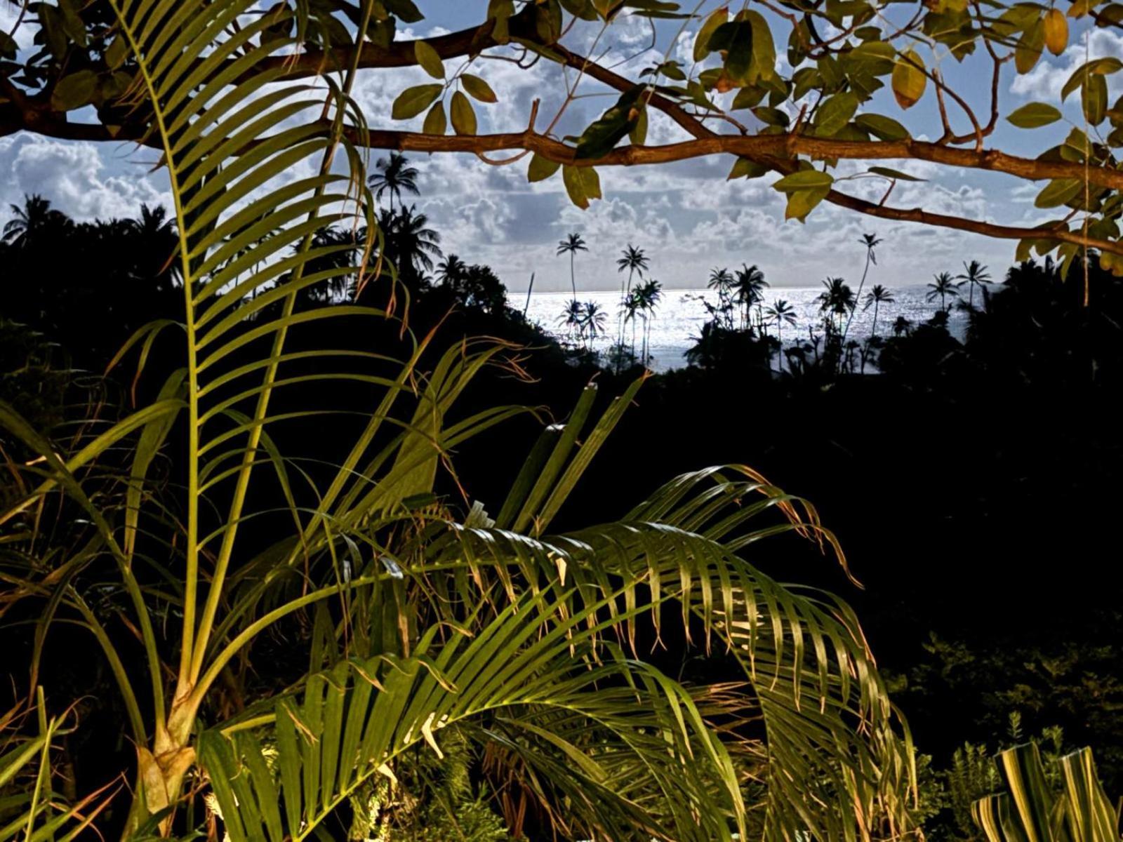 Hotel Firefly Estate Bequia Crescent Beach Zewnętrze zdjęcie