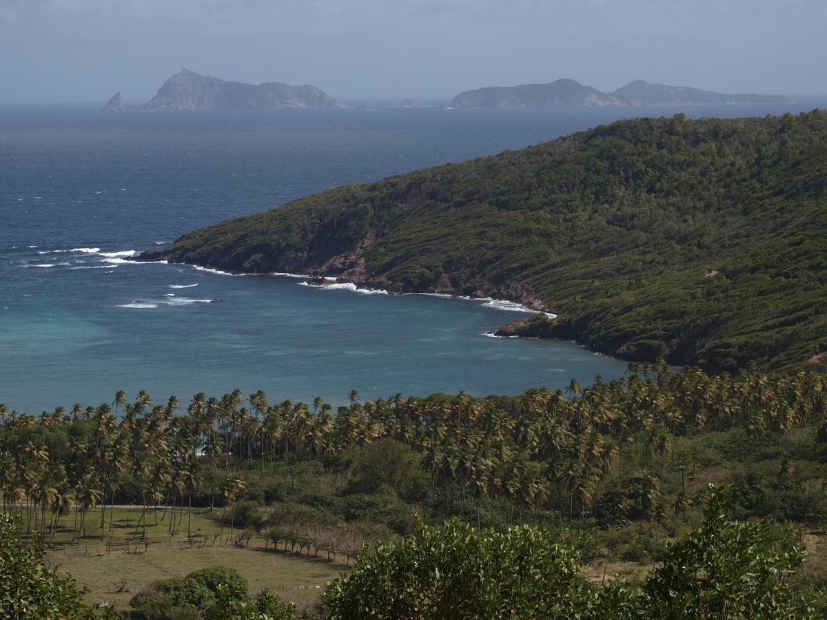 Hotel Firefly Estate Bequia Crescent Beach Zewnętrze zdjęcie