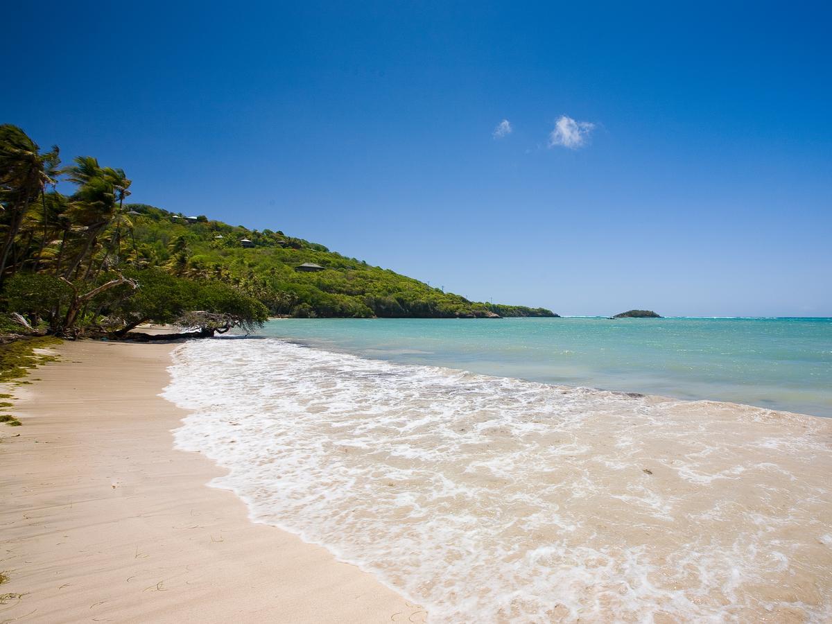 Hotel Firefly Estate Bequia Crescent Beach Zewnętrze zdjęcie