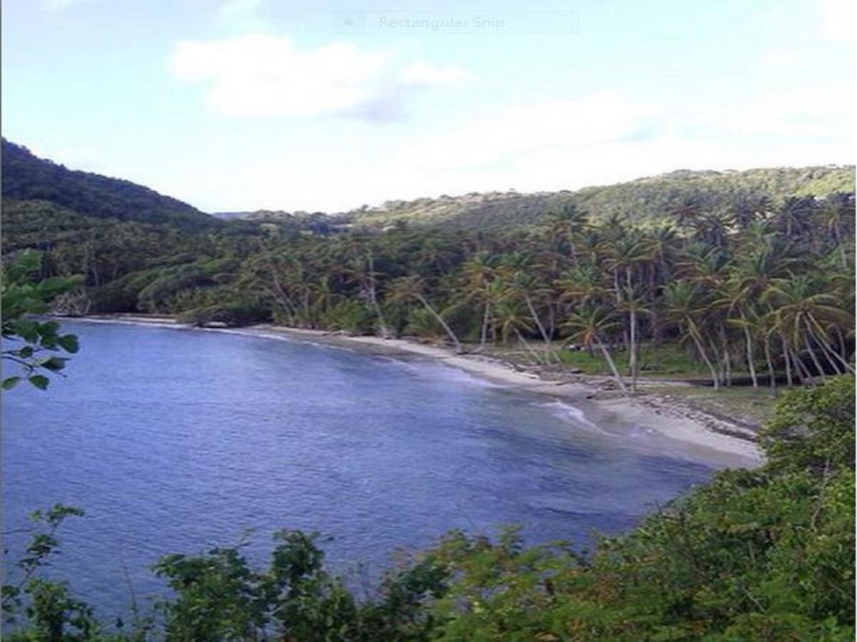 Hotel Firefly Estate Bequia Crescent Beach Zewnętrze zdjęcie
