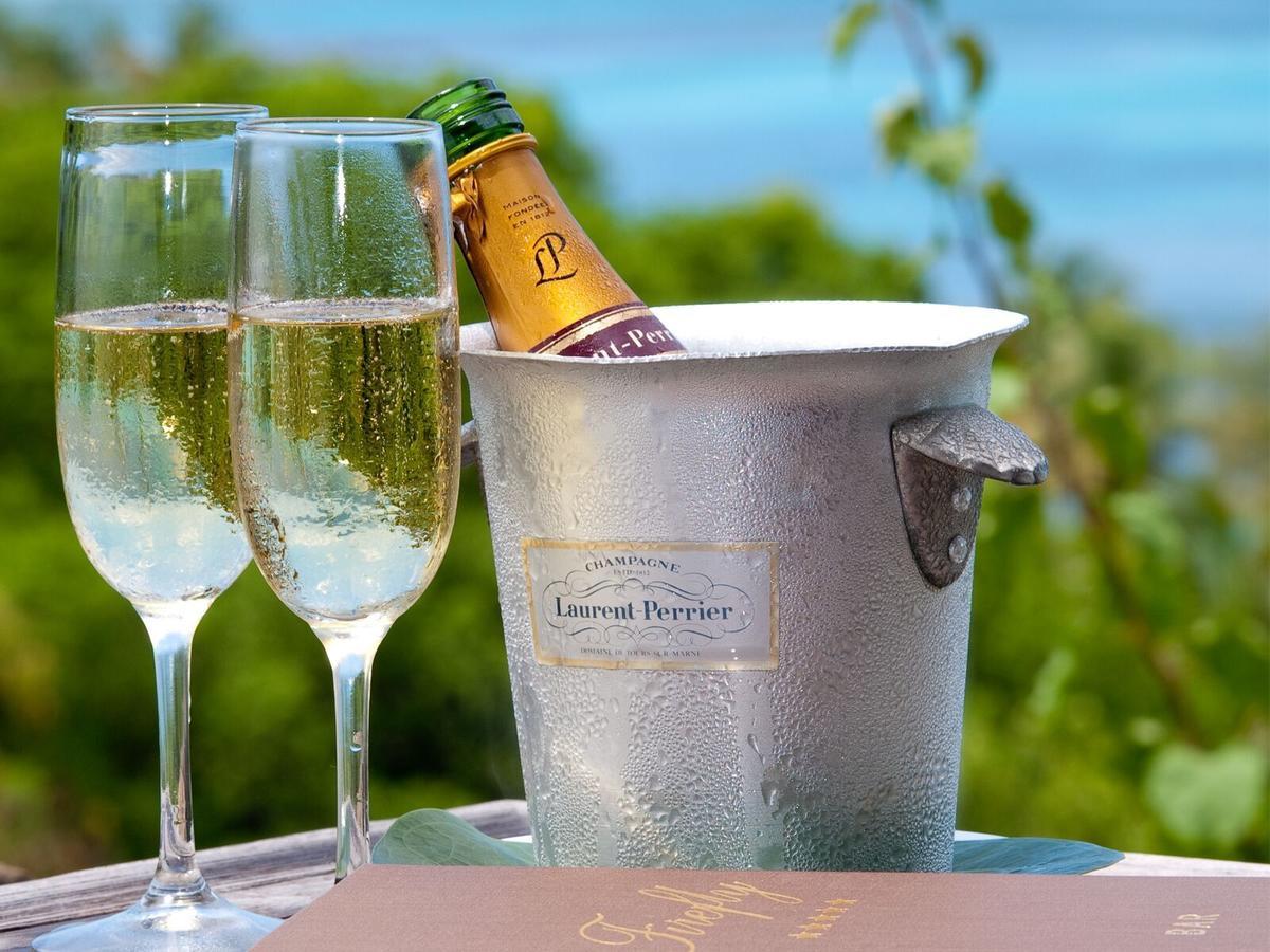Hotel Firefly Estate Bequia Crescent Beach Zewnętrze zdjęcie