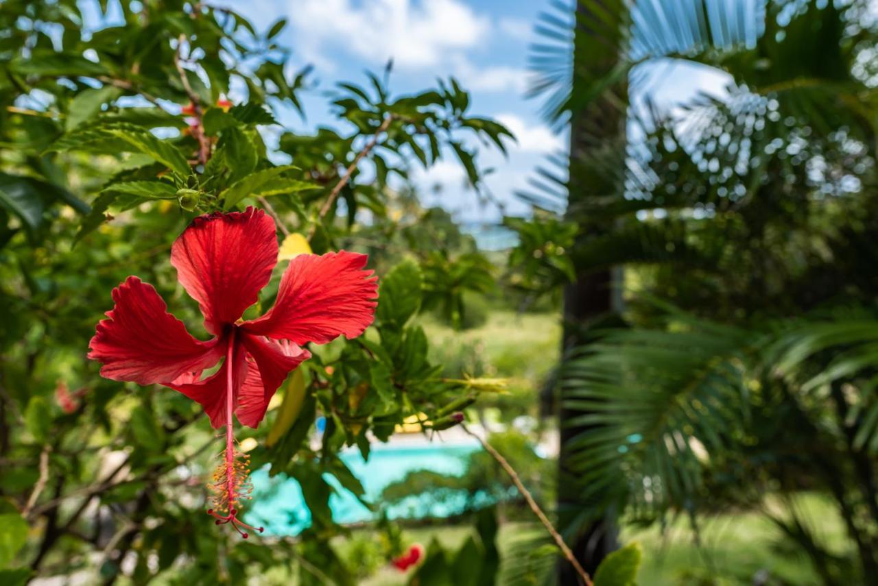 Hotel Firefly Estate Bequia Crescent Beach Zewnętrze zdjęcie