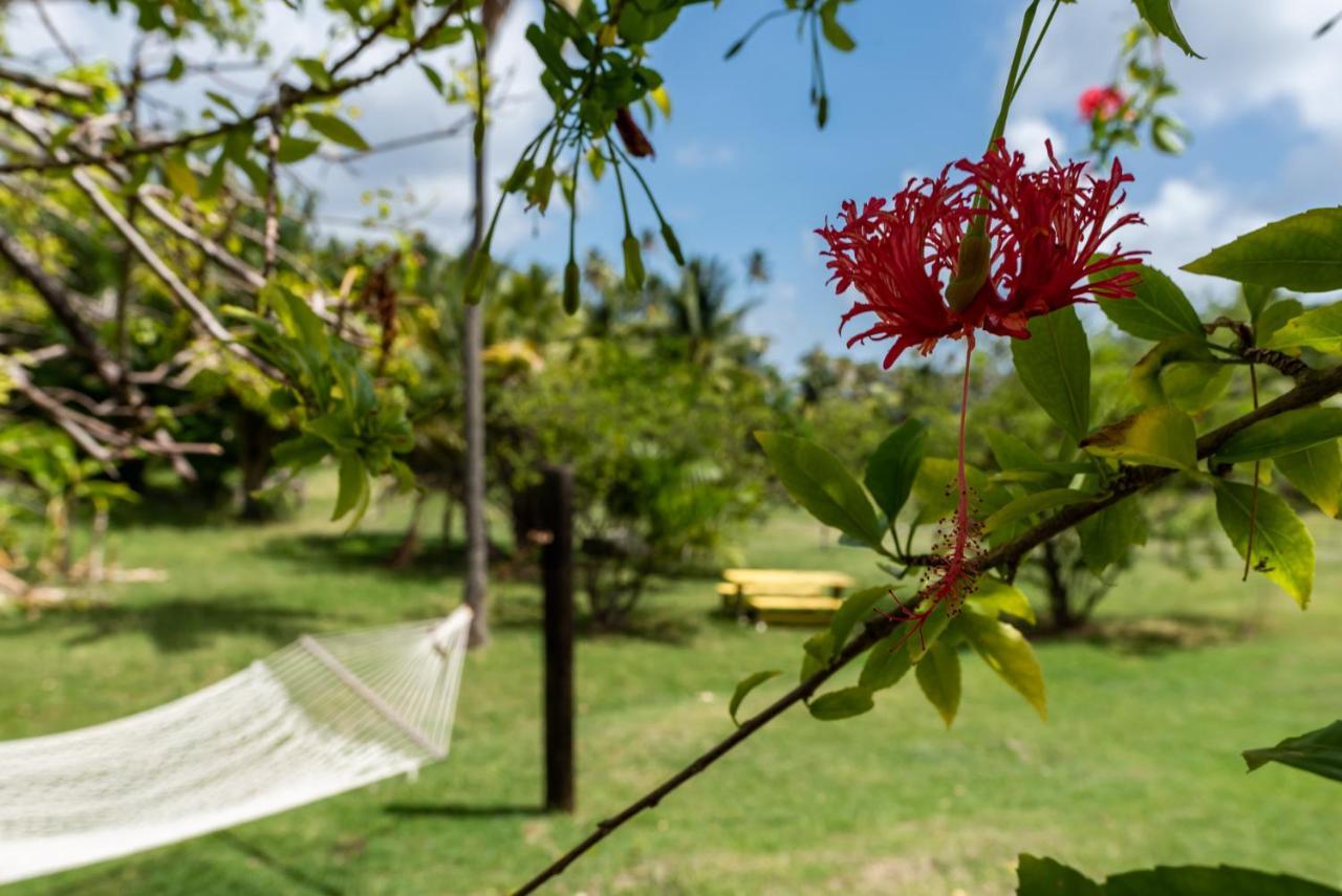 Hotel Firefly Estate Bequia Crescent Beach Zewnętrze zdjęcie