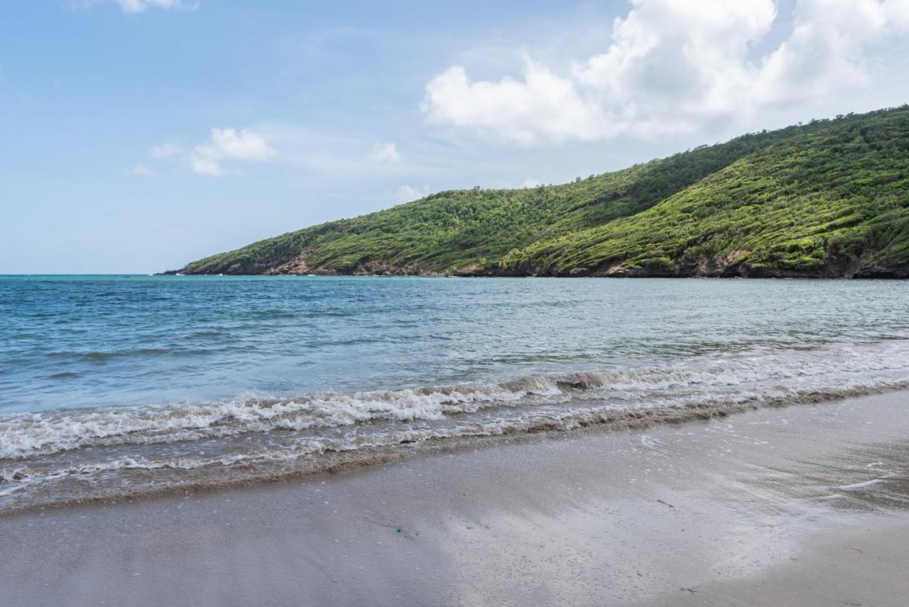 Hotel Firefly Estate Bequia Crescent Beach Zewnętrze zdjęcie